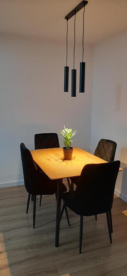 Apartament Klasztorna Centrum נובי סאוז' מראה חיצוני תמונה