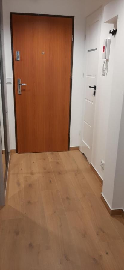 Apartament Klasztorna Centrum נובי סאוז' מראה חיצוני תמונה